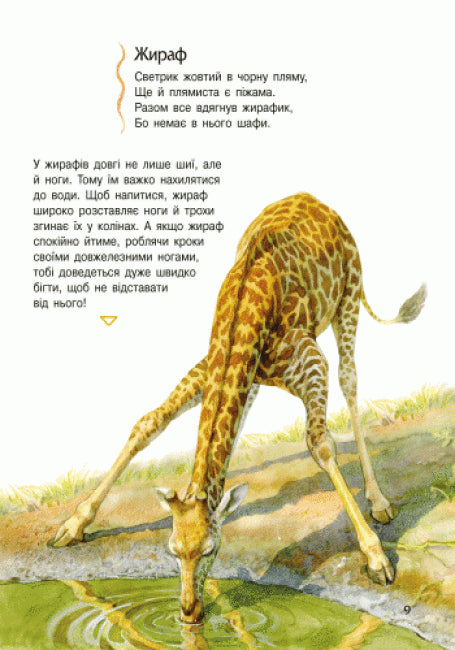 Encyclopedia of Preschoolers. Animals
